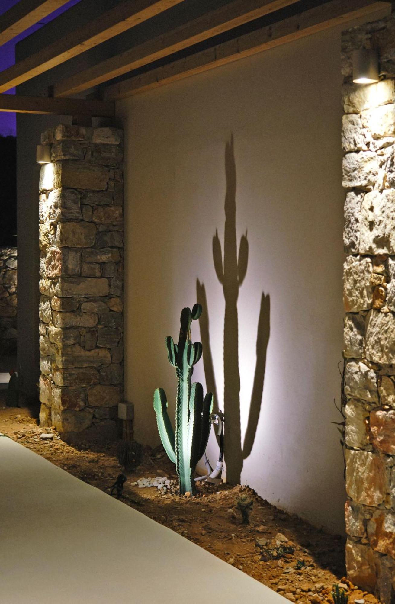 Agave Donousa Suites Buitenkant foto